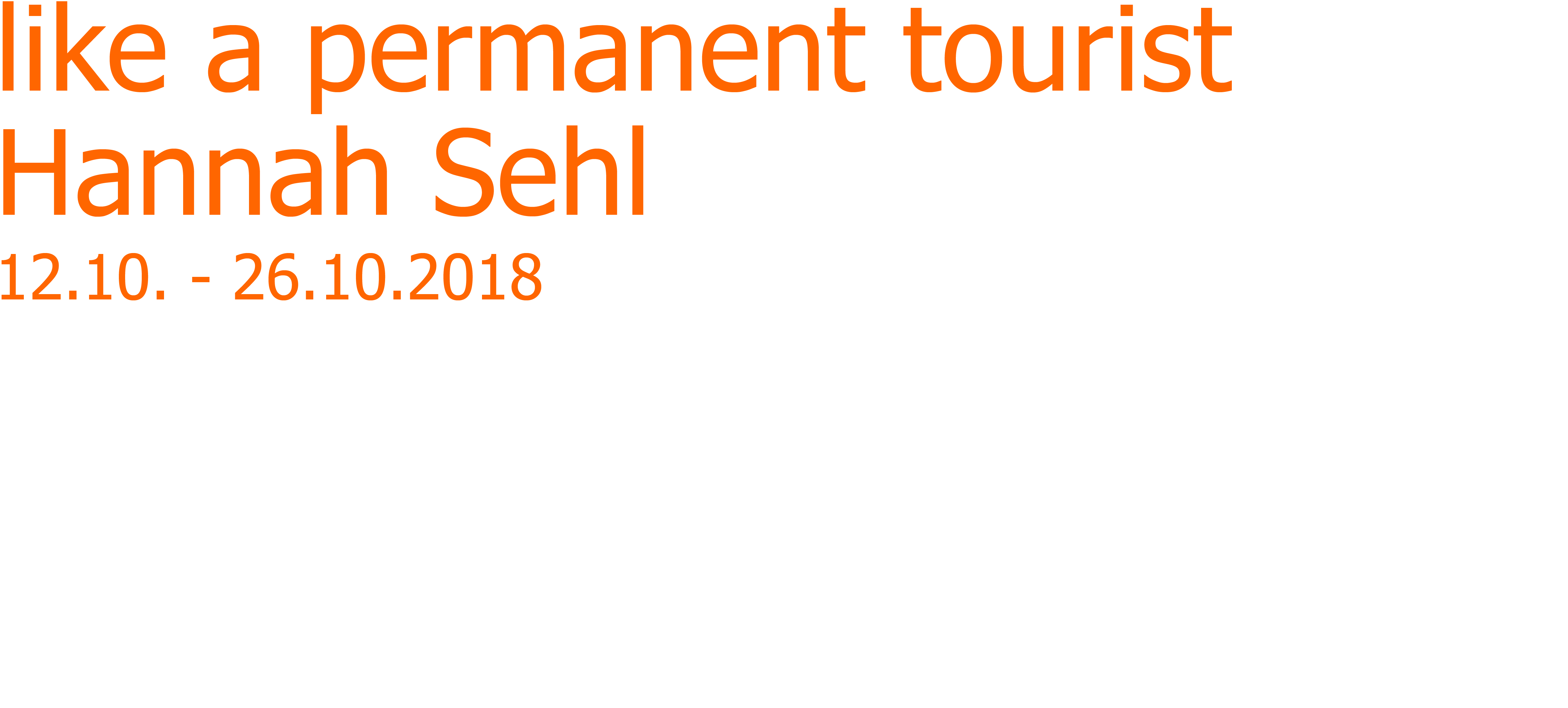 archive like a permanent tourist Hannah Sehl
